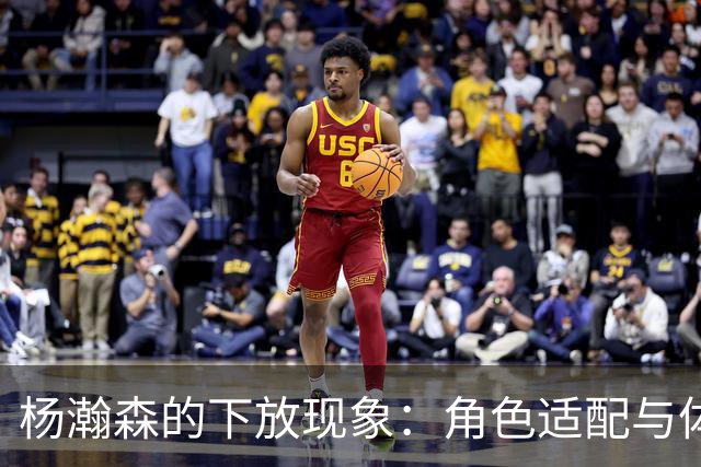 杨瀚森的下放现象：角色适配与体系失调分析